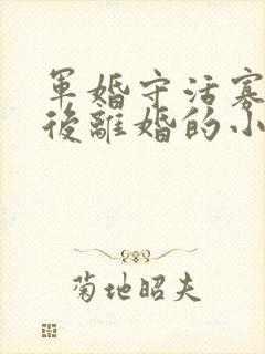 军婚守活寡重生后离婚的小说