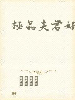 极品夫君好又多