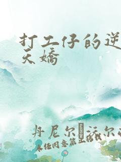 打工仔的逆袭楚天娇