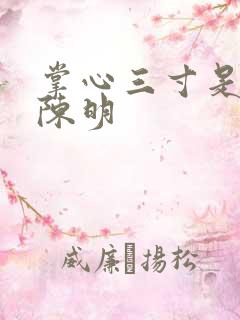 掌心三寸是人间陈明