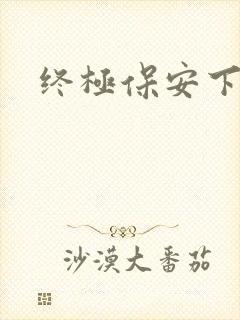 终极保安下载