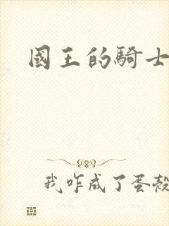 国王的骑士