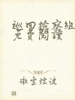 巡回检察组小说免费阅读