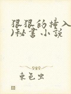 狠狠的撞入(h)秘书小说