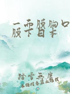 一面膜胸口一面膜下日本