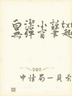 白洁小说txt无弹窗笔趣阁