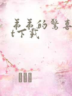 弟弟的惊喜txt下载