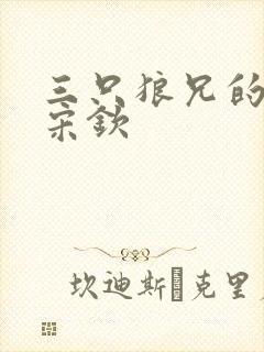 三只狼兄的宠妻宋钦