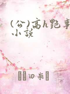 (公)高h艳事小说