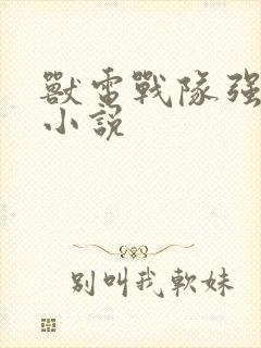 兽电战队强龙者小说