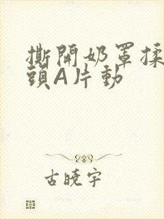 撕开奶罩揉吮奶头A片动