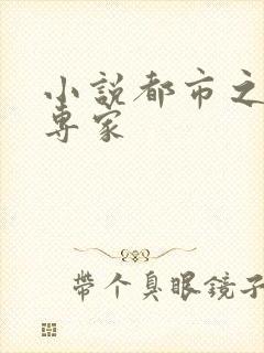 小说都市之军火专家