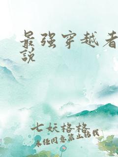 最强穿越者 小说