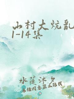 山村大炕乱肉续1-14集