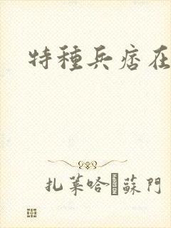特种兵痞在都市
