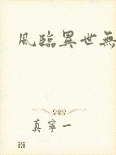 风临异世无弹窗