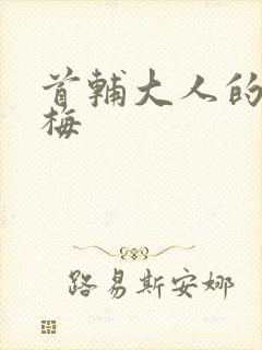 首辅大人的小青梅