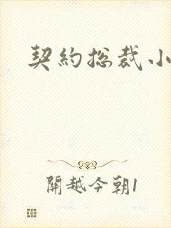 契约总裁小萌宝