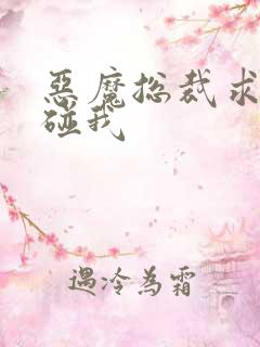 恶魔总裁求你别碰我