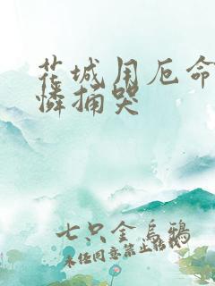 花城用厄命把谢怜捅哭