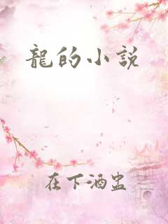 龙的小说