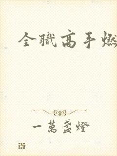 全职高手燃文