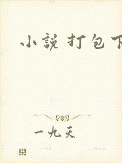 小说 打包下载
