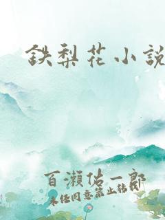 铁梨花小说