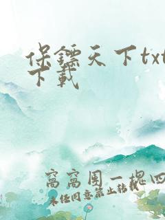 保镖天下txt下载