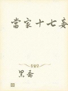 当家十七妾