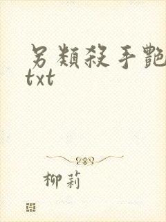 另类杀手艳福星txt