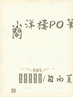 小洋楼PO笔趣阁