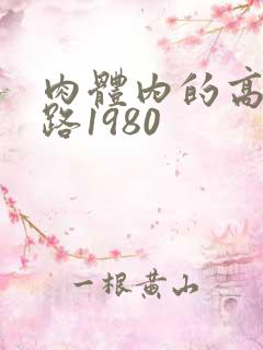 肉体内的高速公路1980