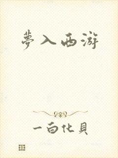 梦入西游