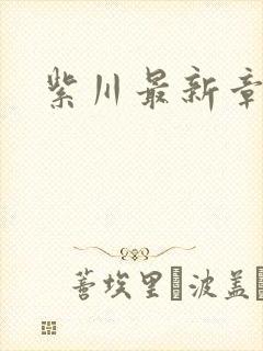 紫川最新章节