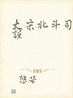 大宋北斗司 小说