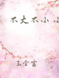 不大不小 小说