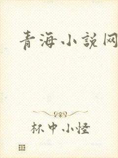 青海小说网