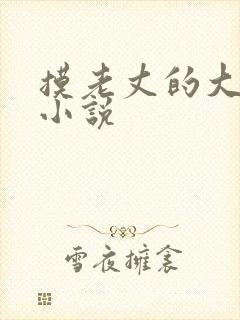 摸老丈的大牛子小说