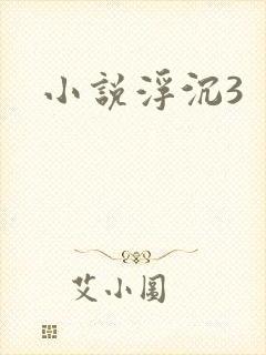 小说浮沉3