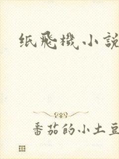 纸飞机小说
