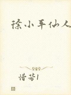 徐小平仙人指路