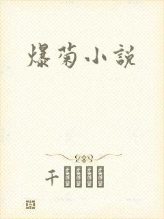 爆菊小说