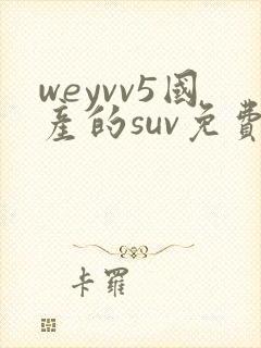 weyvv5国产的suv免费