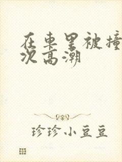 在车里被撞了八次高潮