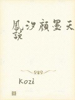 凤汐颜墨天问小说