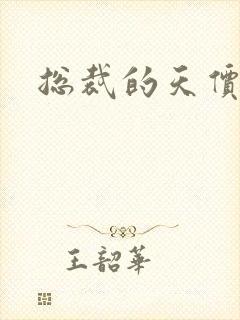 总裁的天价宠妻