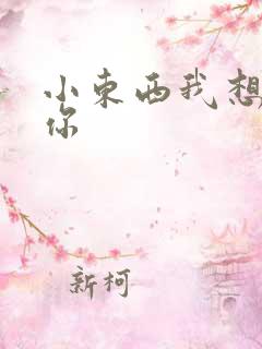 小东西我想弄坏你