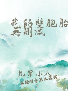 我的双胞胎老婆无删减