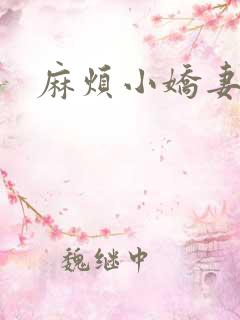 麻烦小娇妻